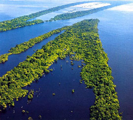 Chevron constata da?o ambiental en Amazonia ecuatoriana, según abogado