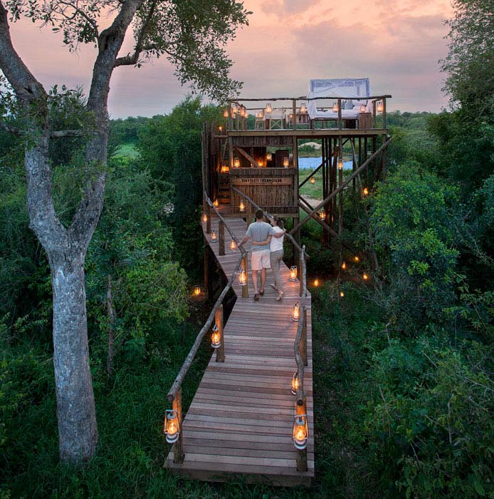 Hotel en árbol en Sudáfrica atrae a turistas en busca de emociones 6