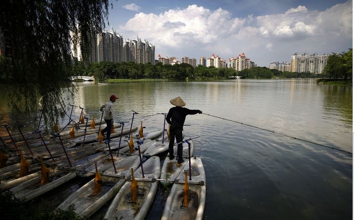 10 toneladas de peces enterrados vivos en un vertedero de Guangdong