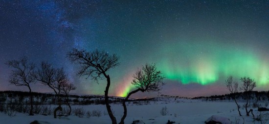 Magníficas fotos del concurso de fotografía del Reino Unido