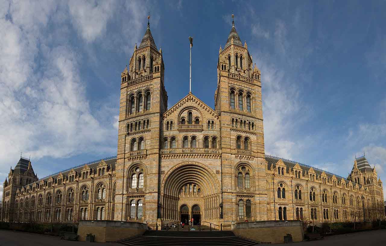 los museos de Ciencias Naturales