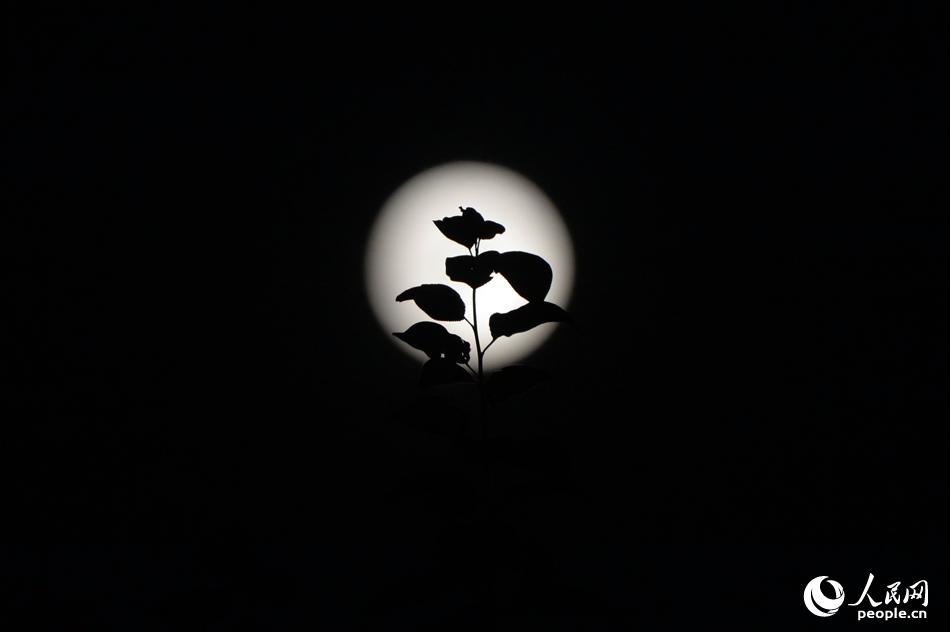 “Súper Luna” en el cielo nocturno