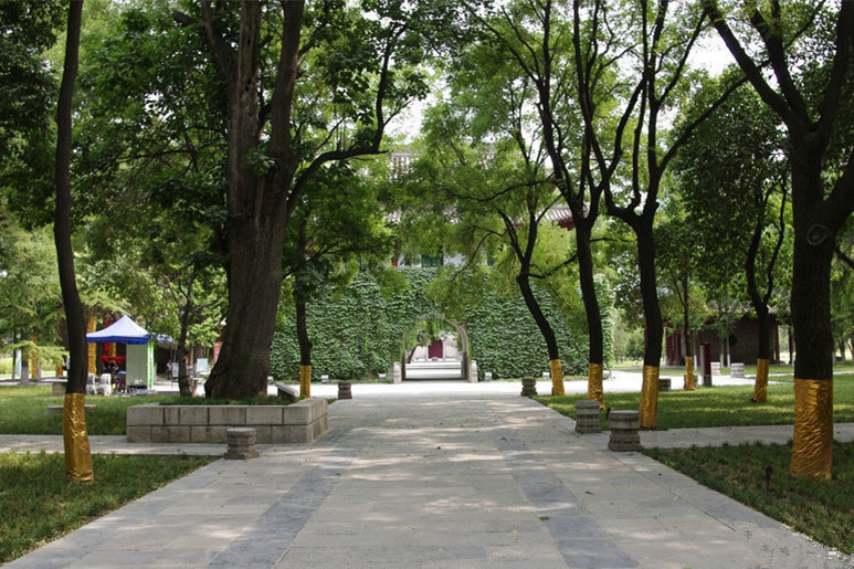 Patrimonio Cultural de la Humanidad - Ruta de la Seda: Peque?a Pagoda del Ganso Salvaje