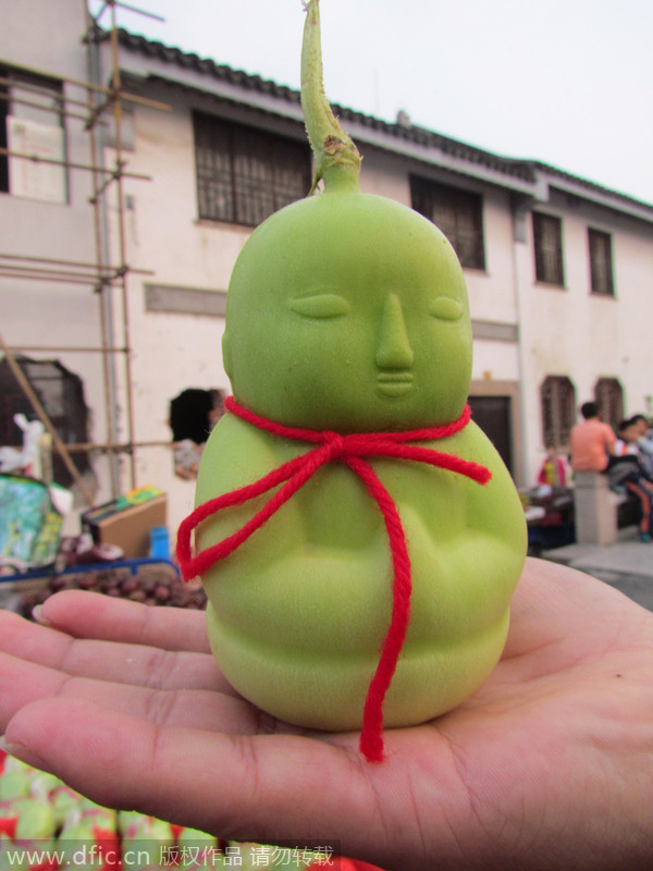 Estos frutos en forma de ni?os, se venden a 20 yuanes en Hangzhou, Zhejiang. Son, en realidad, un tipo de melón llamado Solanum Muricatum. Naturalmente no tienen esta forma, pero la adquiren gracias a una "cirugía plástica", que consiste en poner la fruta en un molde cuando ésta comienza a crecer. (Foto/IC)