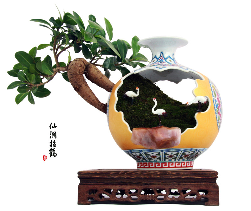 Increíble bonsai de porcelana en Gansu