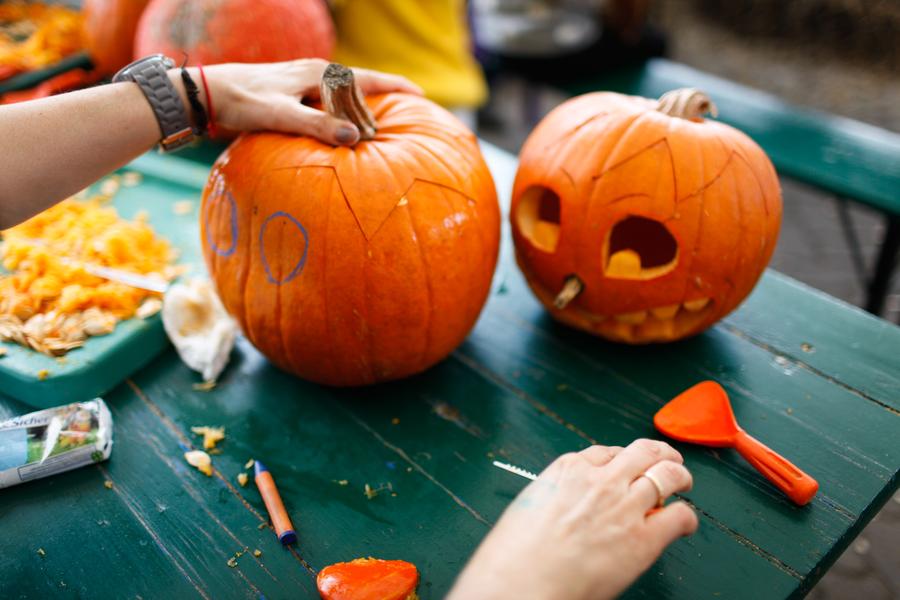 Exhibición anual de calabazas en Alemania