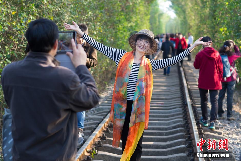 El "túnel del amor" de Nanjing