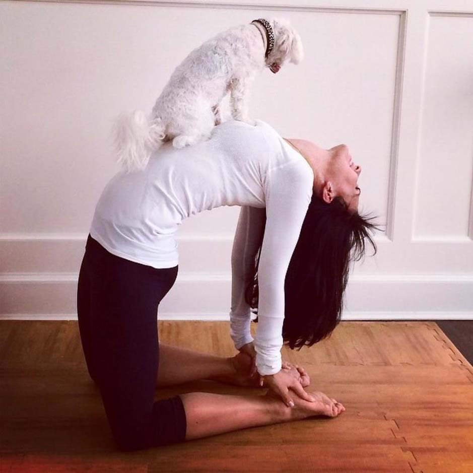 Hilaria Baldwin exhibe su maestría en el Yoga