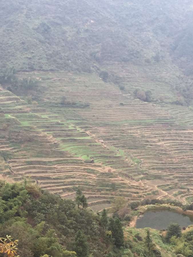 Huangling,el pueblo más bello del mundo 6