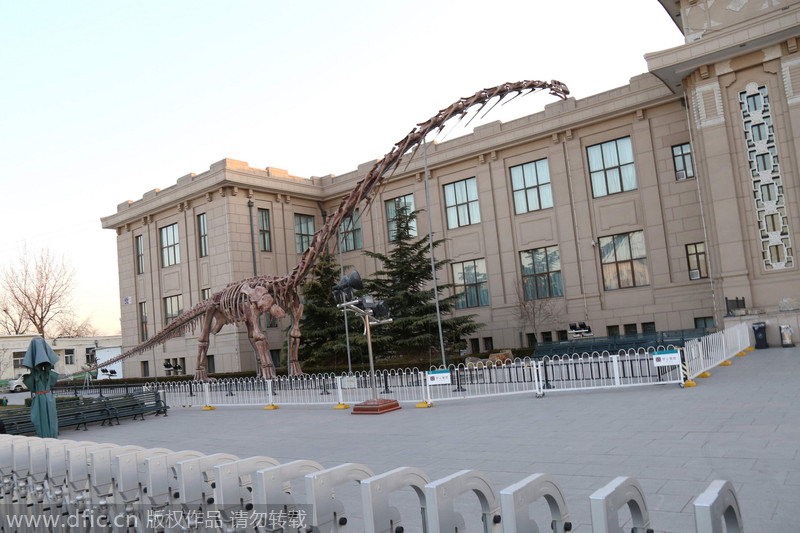 Un dinosaurio gigante recorrerá china