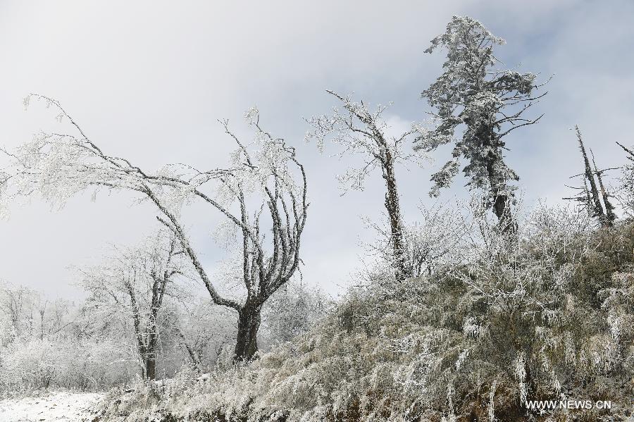 Primera nevada de Sichuan en 2015