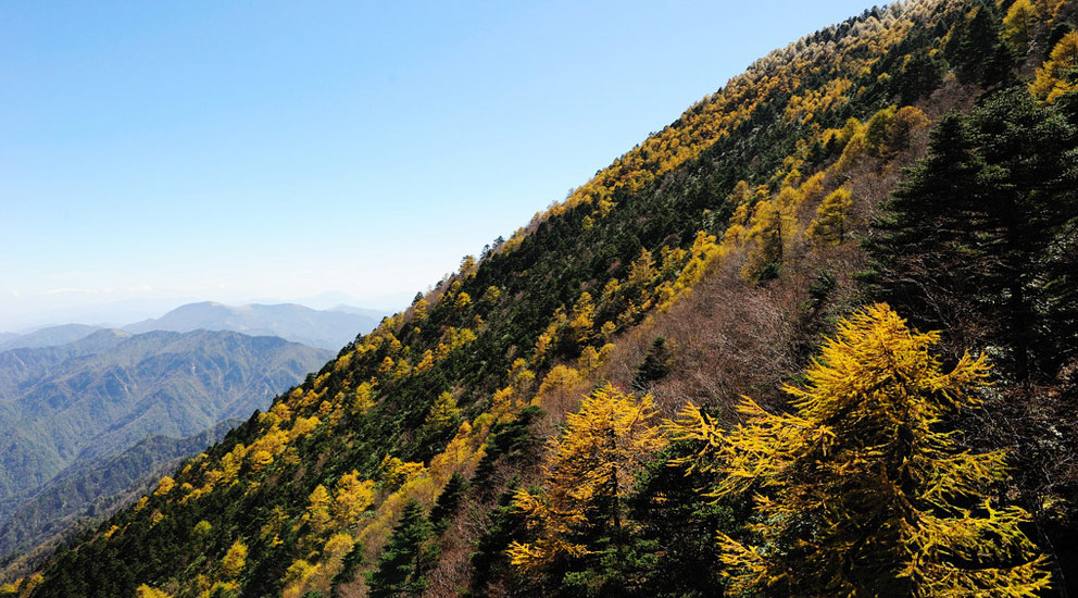 Complejo Turístico Internacional de Taibai recibe el premio “10 mejores resorts turísticos de China 2014”