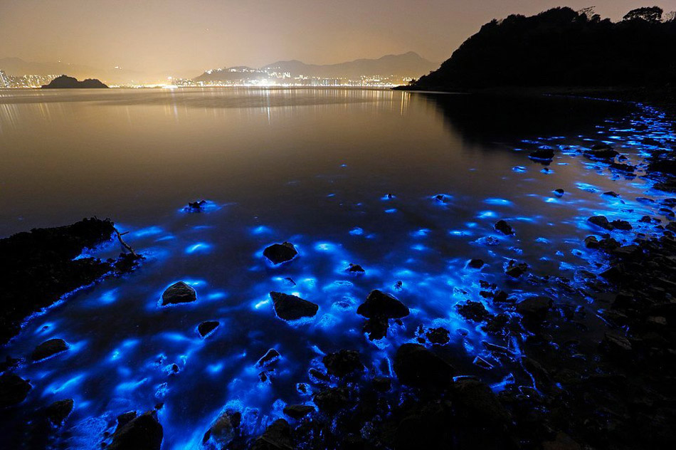 Un resplandor azul ilumina de noche el mar de Hong Kong por culpa de la contaminación