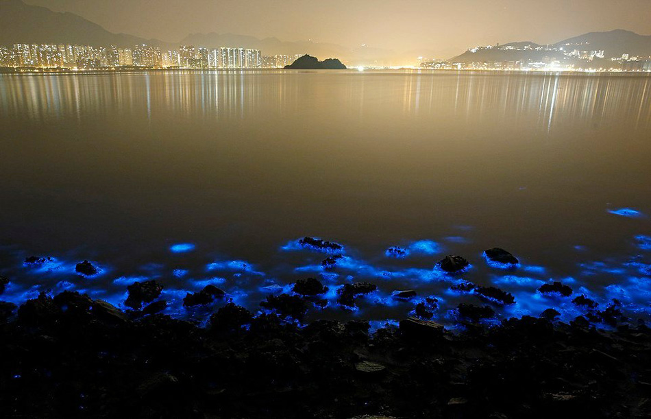 Un resplandor azul ilumina de noche el mar de Hong Kong por culpa de la contaminación