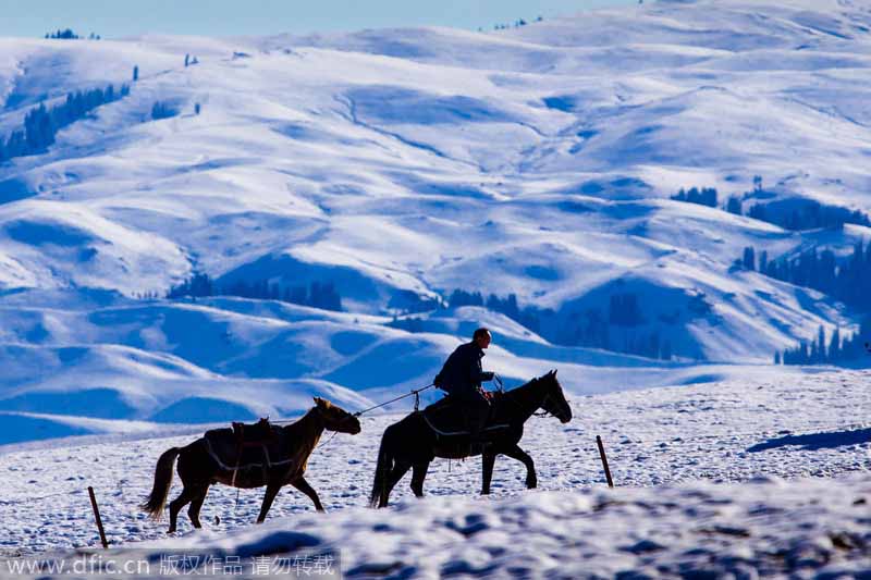 Pradera Nalat?en?Yili?cubierta?de?nieve?el?17 de septiembre de?2013,?en?la?región?autónoma?Uygur de Xinjiang.?[Foto/IC]