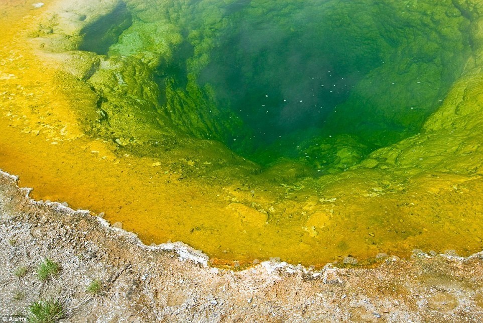 Las monedas cambian el color de un géiser en Yellowstone