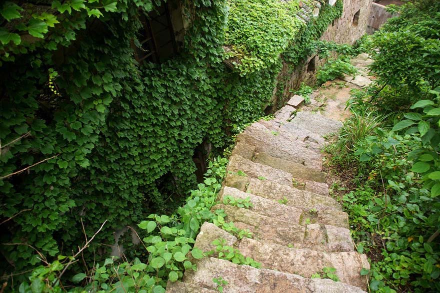 Pueblo abandonado es abrazado por la naturaleza