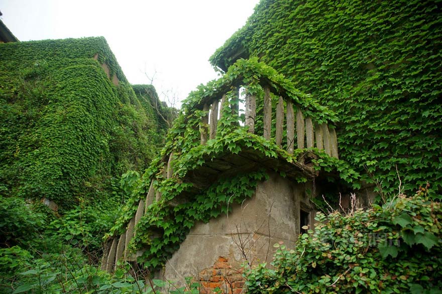 Pueblo abandonado es abrazado por la naturaleza