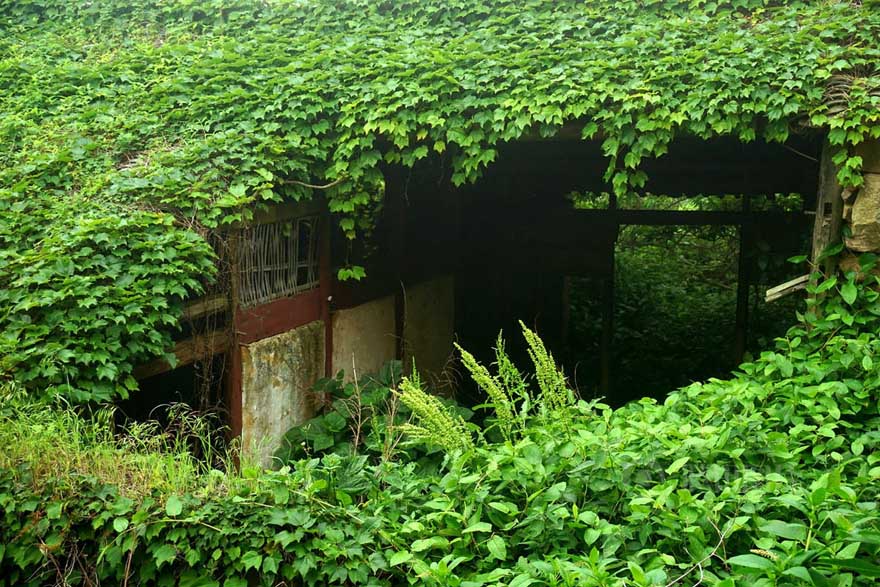 Pueblo abandonado es abrazado por la naturaleza