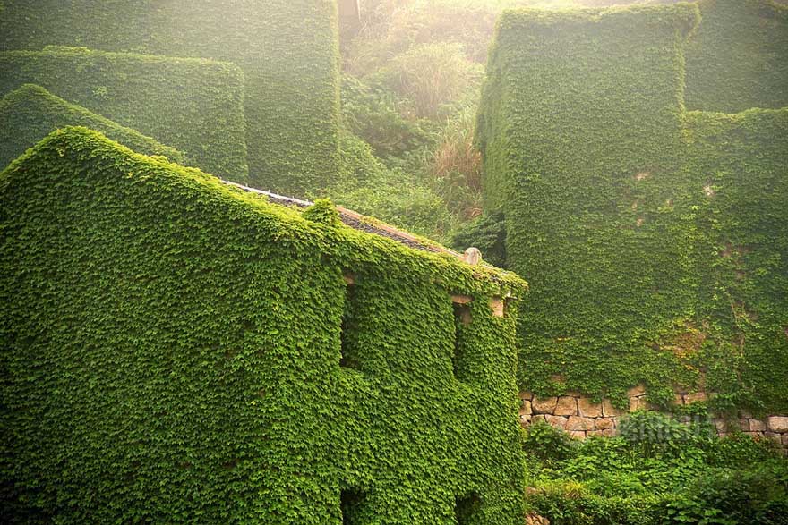 Pueblo abandonado es abrazado por la naturaleza