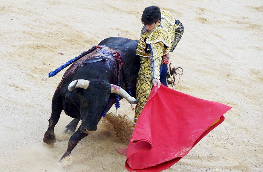 El torero Alberto López Simón torea en la plaza durante el inicio de la fiesta de San Fermín en Pamplona, Espa?a, el 7 de julio de 2015. [Agencias de fotografía]