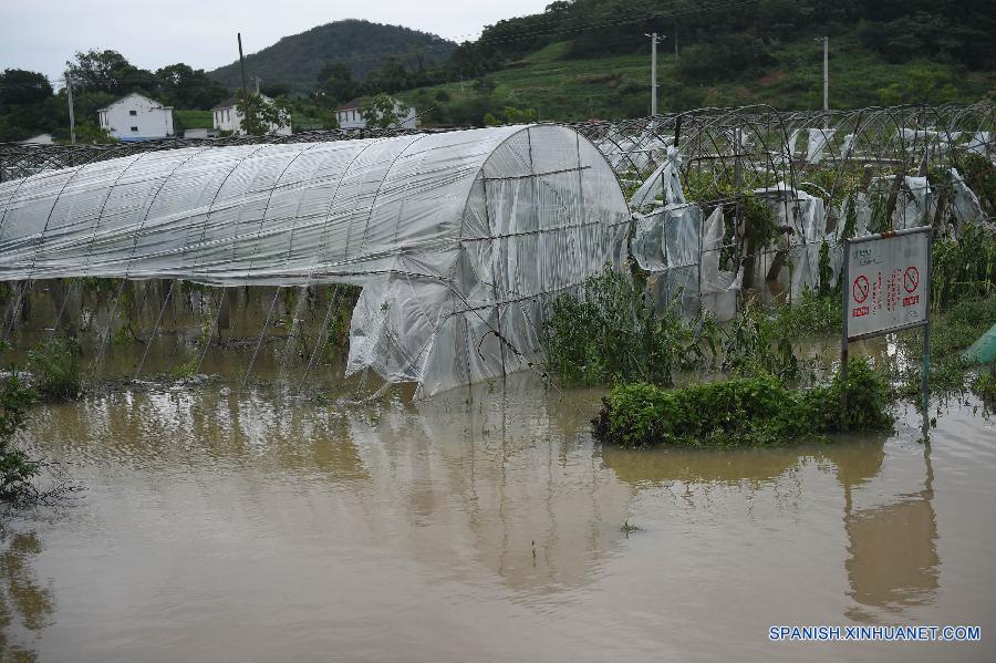 Tifón Chan-Hom se debilita y deja región costera de China