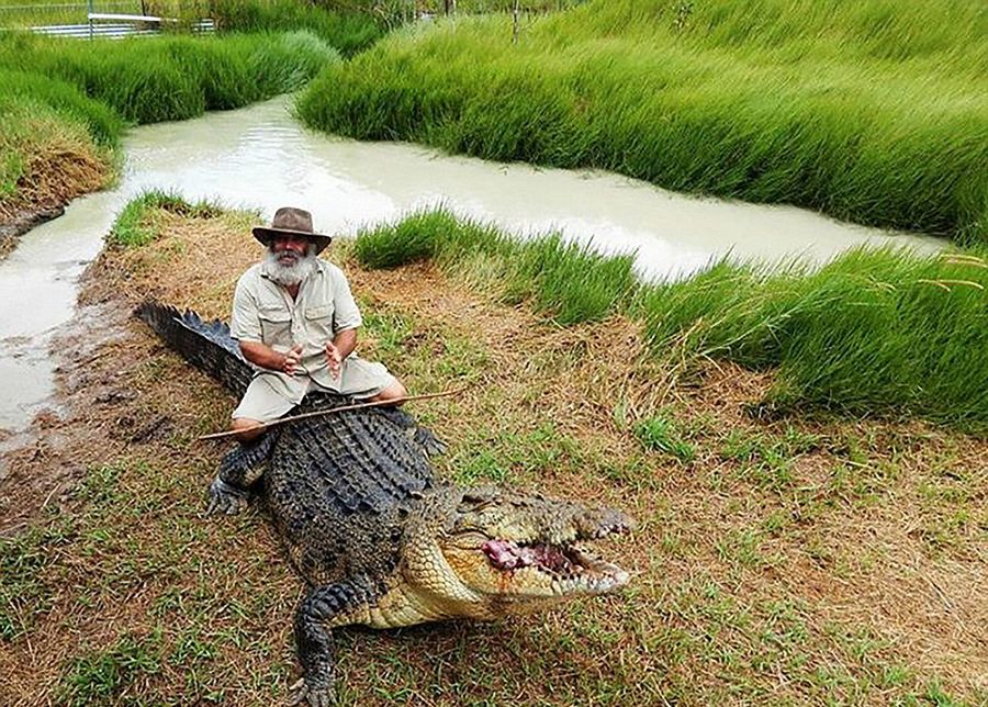 Robert Bredl, el jinete de cocodrilos y encantador de reptiles