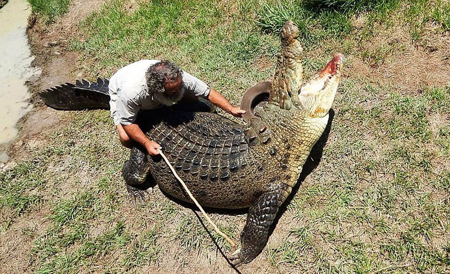 Robert Bredl, el jinete de cocodrilos y encantador de reptiles