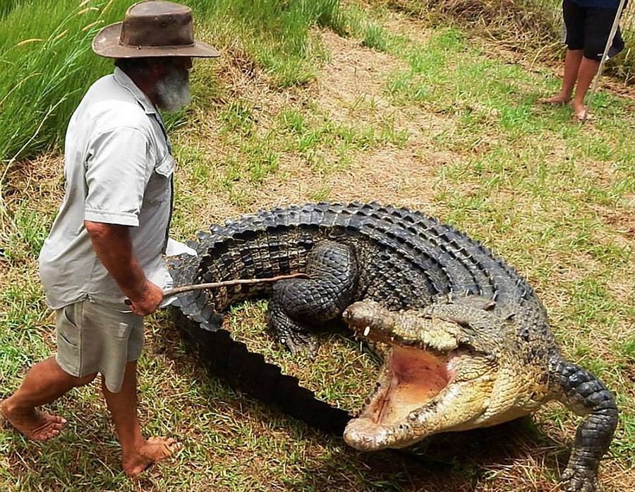 Robert Bredl, el jinete de cocodrilos y encantador de reptiles