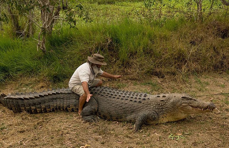 Robert Bredl, el jinete de cocodrilos y encantador de reptiles