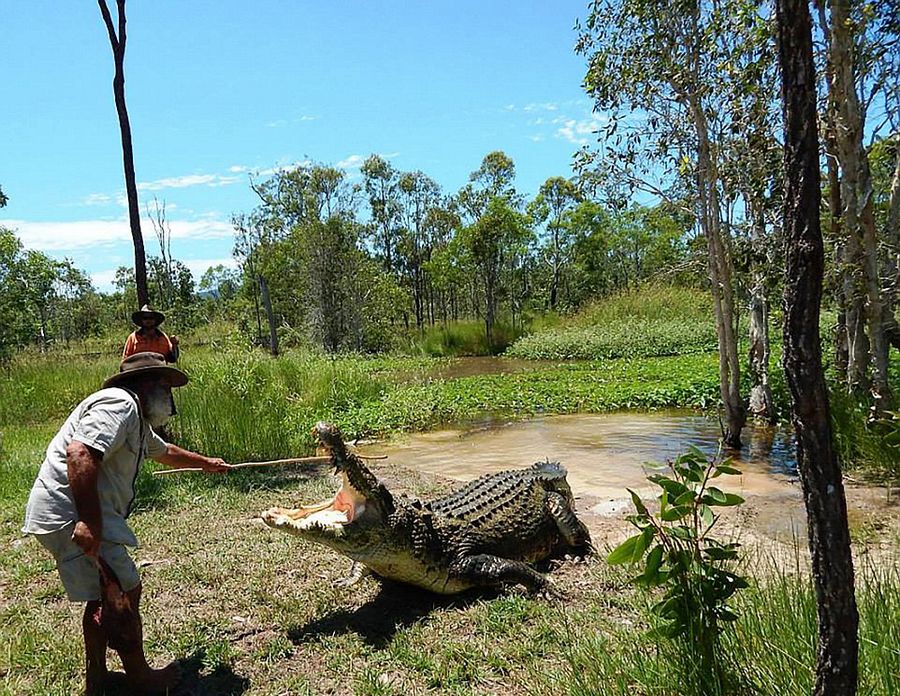 Robert Bredl, el jinete de cocodrilos y encantador de reptiles