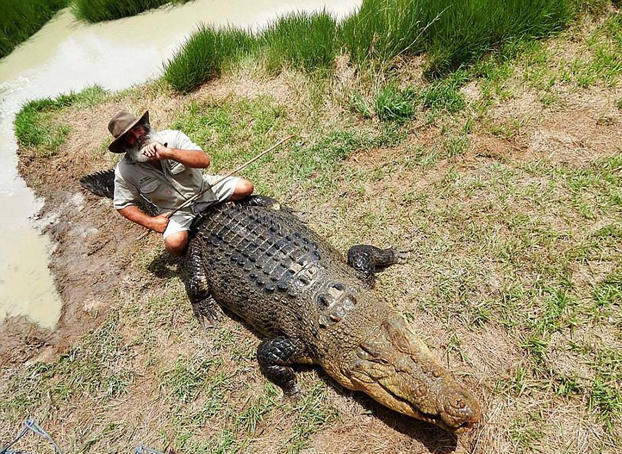 Robert Bredl, el jinete de cocodrilos y encantador de reptiles