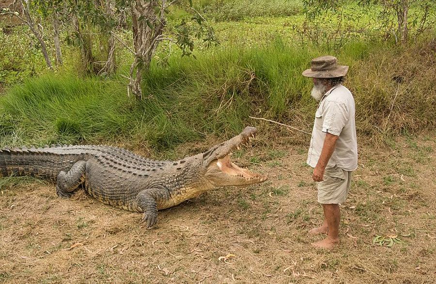 Robert Bredl, el jinete de cocodrilos y encantador de reptiles