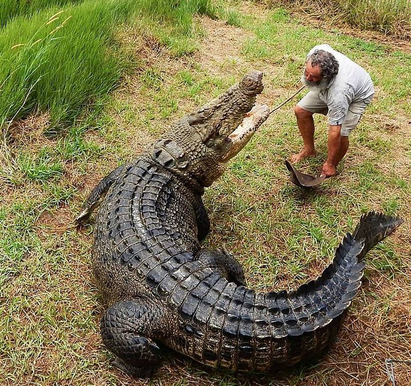 Robert Bredl, el jinete de cocodrilos y encantador de reptiles