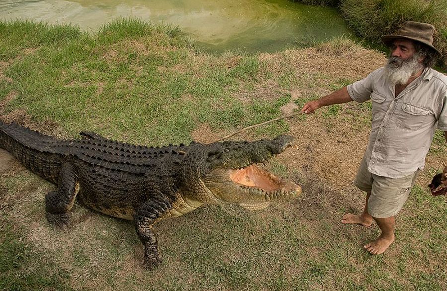 Robert Bredl, el jinete de cocodrilos y encantador de reptiles