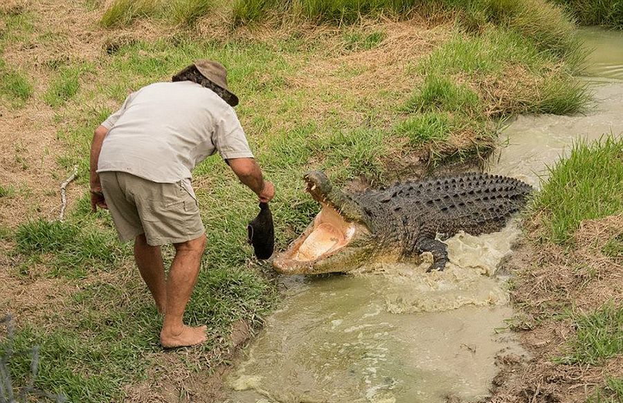 Robert Bredl, el jinete de cocodrilos y encantador de reptiles