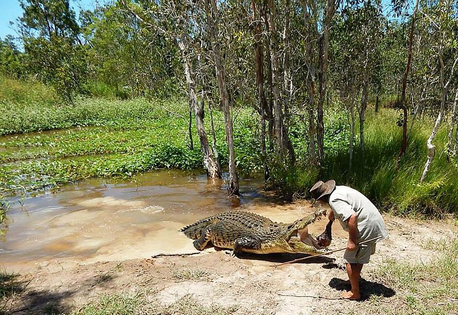 Robert Bredl, el jinete de cocodrilos y encantador de reptiles