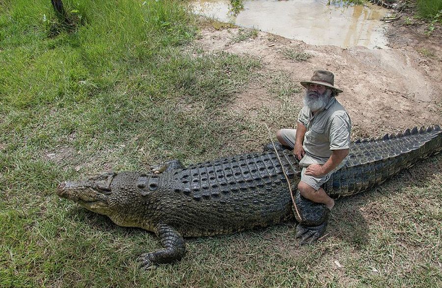 Robert Bredl, el jinete de cocodrilos y encantador de reptiles