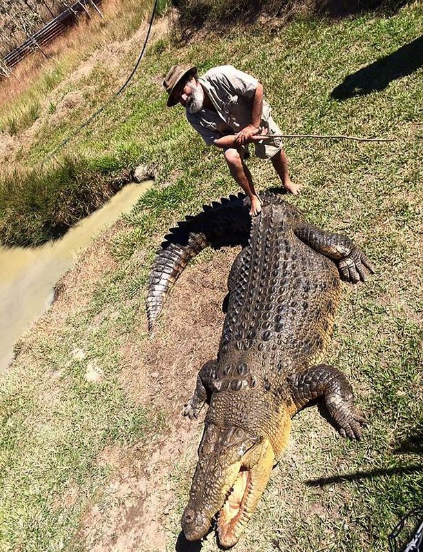 Robert Bredl, el jinete de cocodrilos y encantador de reptiles