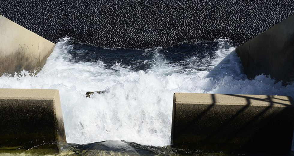 Los ángeles:Lanzan millones de pelotas para conservar el agua en los pantanos