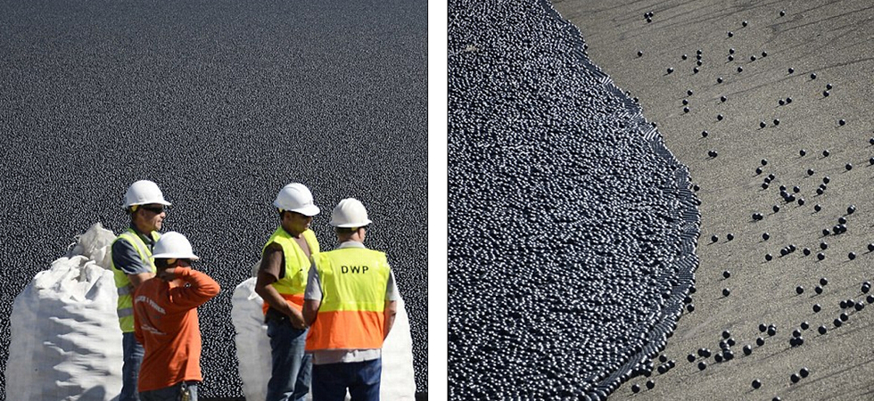 Los ángeles:Lanzan millones de pelotas para conservar el agua en los pantanos