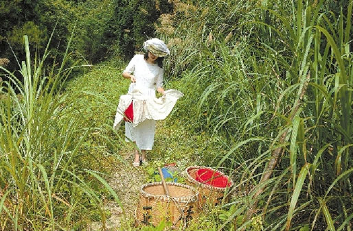 Una bella mujer busca miel en la monta?a