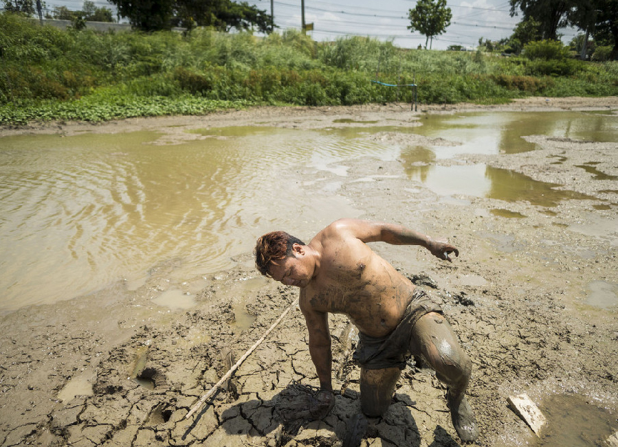 Tailandia sufre una sequía inusual