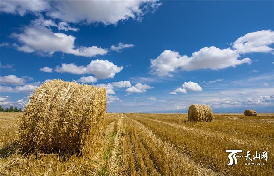 Hermoso paisaje de Xinjiang