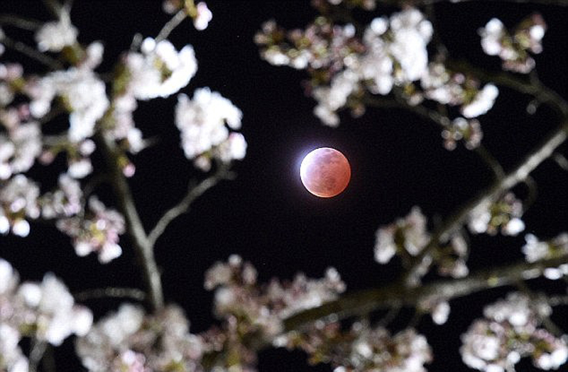 Cubanos podrán observar eclipse total de Luna