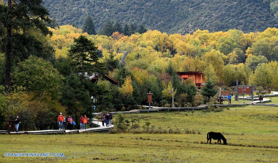 Yunnan: Paisaje de oto?o en Parque Nacional Potatso en Shangri-la