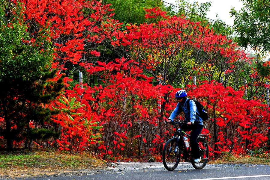 Estampa oto?al en la carretera N-109 de Pekín