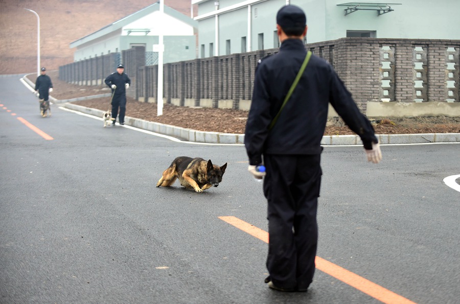 Abre la base de entrenamiento de perros policía en Shenyang