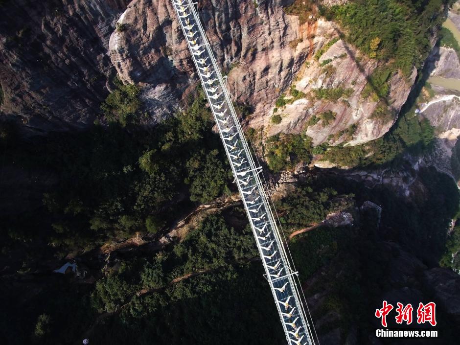 100 hermosas jóvenes practican Yoga en un puente de cristal