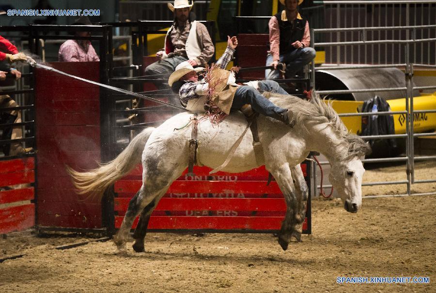 Competición Real de Caballo 2015 en Toronto, Canadá